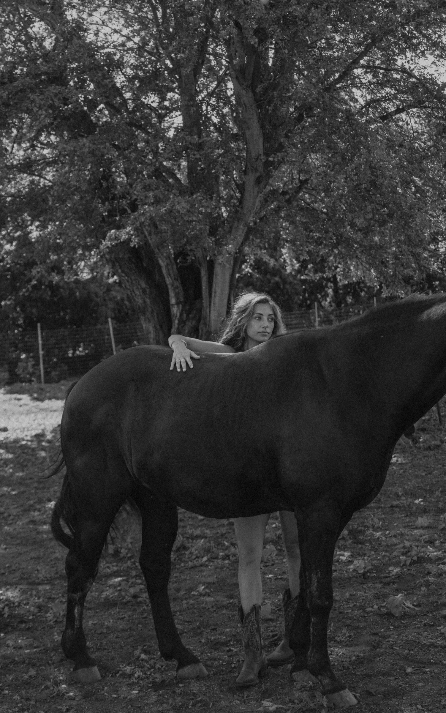 Ken + Taylor