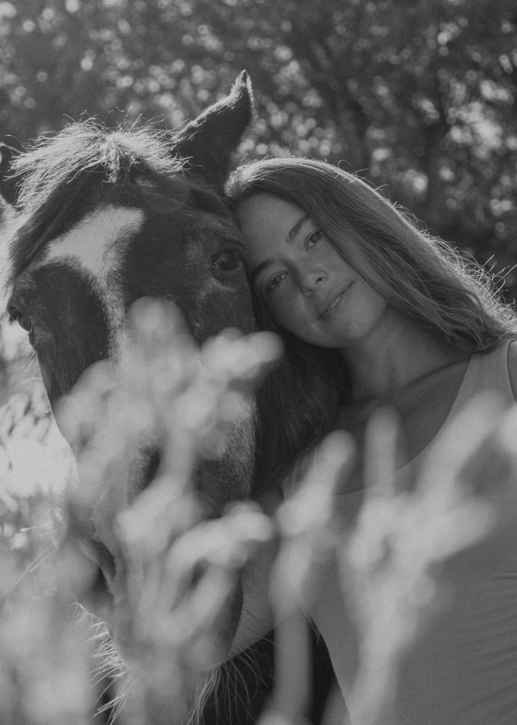 Ken + Taylor
